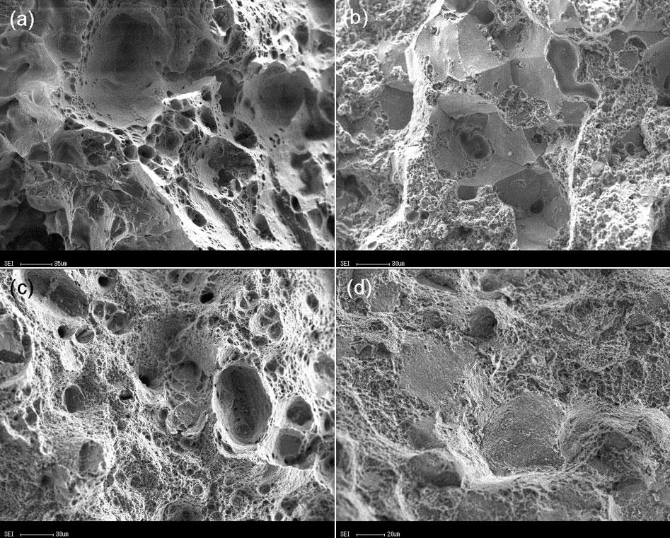 6 Images (SEM) of fracture surfaces of solution treated thixoformed ZA27 alloy after being aged for a 0, b 1, c 10 and d 48 h aged for 10 h, the fracture surface was covered by lots of dimples with