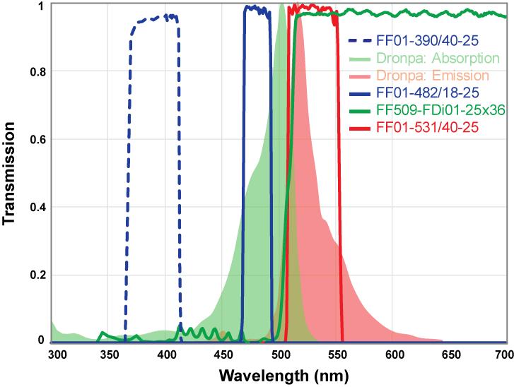 GSDIM (Ground State Depletion followed by Individual Molecule return) is another example of stochastic switching and readout. This technique does not require specialized fluorophores.