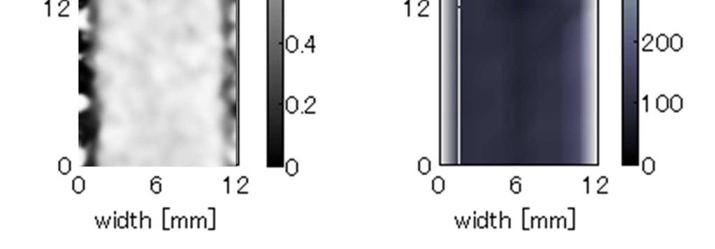 The instantaneous distribution of the liquid film thickness between the wall and bubble could be measured, as shown in Fig. 7 (b). It is seen that measured film thickness was very thin.