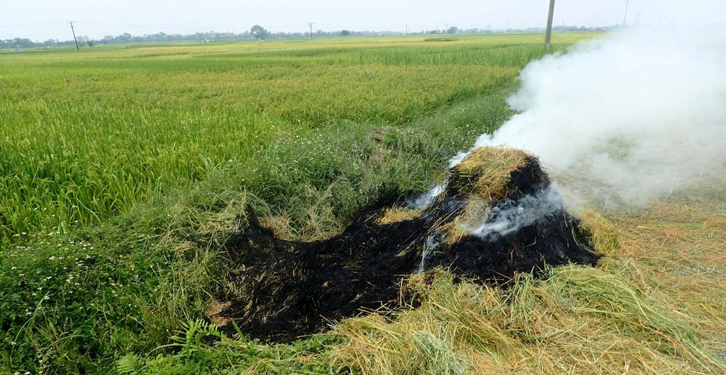 characterizing the residue burning practices