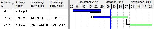 Planned Dates Issues The Planned Dates are dates that most schedulers would not want displayed, These dates are displayed as the Project Baseline bars and Primary User Baseline bars when no baseline
