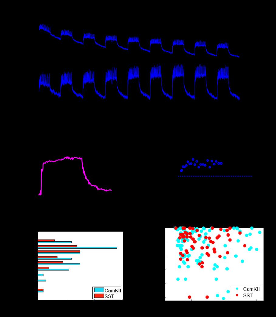 Figure S4. Spike finding in fluorescence recordings in acute brain slice. (A) Raw fluorescence trace from a single neuron with periodic optical stimulation.