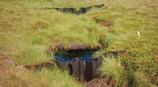 Natural England / Matthew Shepherd Peatland restoration, such as gully blocking, raises the water table, reducing CO2 losses, but increasing methane emissions.
