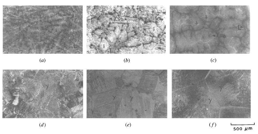 Introduction Challenges of TSCDR Microalloyed Steels - Rapid Coarsening of Austenite Grains Microstructure evolution during the solidification