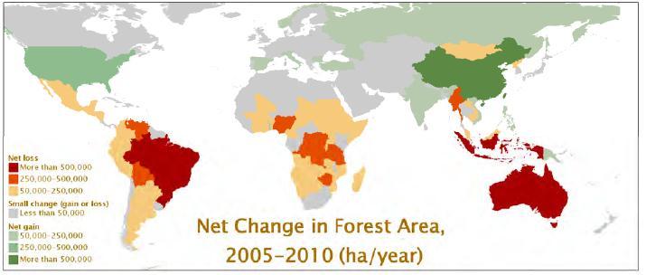 Net Change in Forest Area