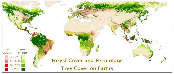 Forest cover and percentage of trees on farms Importance of forests Ecosystem services Drivers of change - global