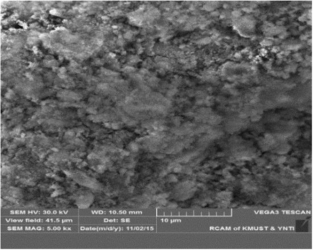 Figure 3. XRD pattern of the filter cake enrich in calcium and magnesium. Figure 4. SEM image of the filter cake rich in calcium and magnesium.