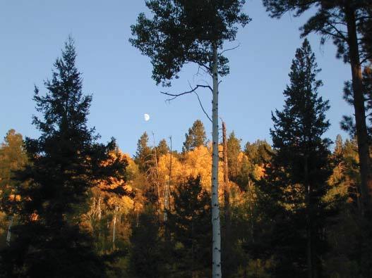 The Rocky Mountain Research Station develops scientific information and technology to improve management, protection, and use of the forests and rangelands.
