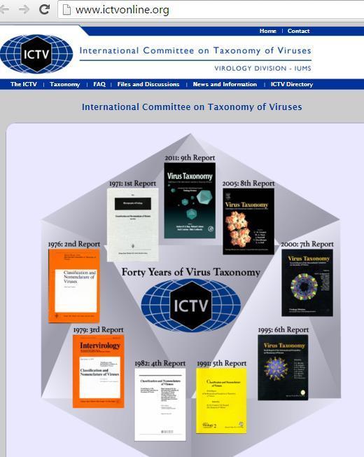 Taxonomy ICTV (not CVTI ) International Committee for Taxonomy of Viruses Up-to-date taxanomic guidelines Tailed