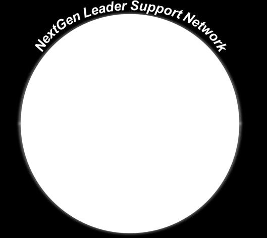 Lead Endorser Support NextGen in finding balance between current year performance goals and execution of development plan Provide FSS/Channel perspective Gather and share performance feedback 4.