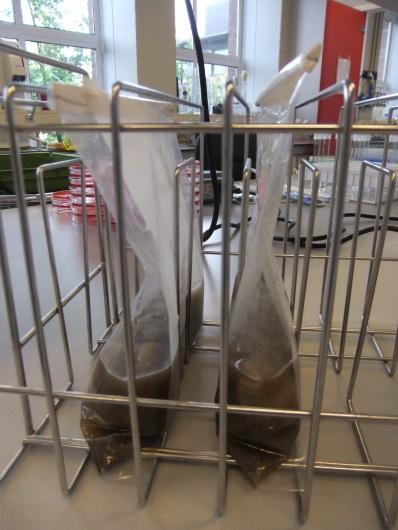 Pre-test : stability and homogeneity of samples Boot socks with chicken faeces and Salmonella CONCLUSIONS Sample used for the study: -One pair of boot socks in a plastic bag -15 ml of Peptone Saline