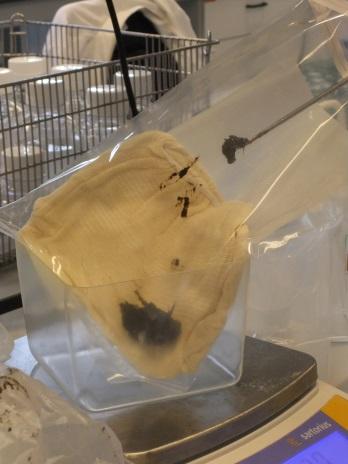 Pre-test : stability and homogeneity of samples Boot socks with chicken faeces and Salmonella EXPERIMENT (I): Boot socks in a plastic bag Addition : -15 ml of BPW, Peptone Saline Solution, Water or