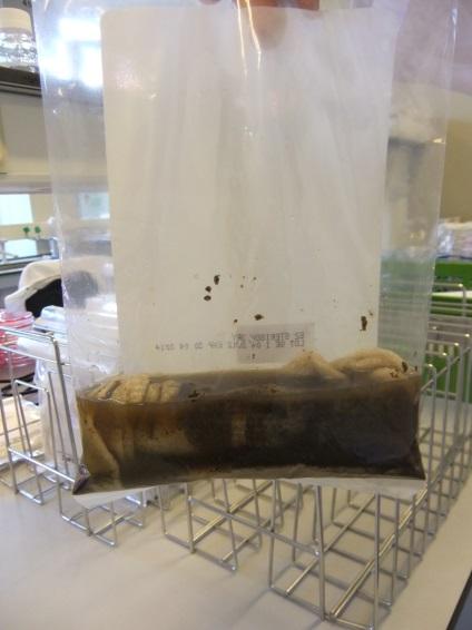 Pre-test : stability and homogeneity of samples Boot socks with chicken faeces and Salmonella RESULTS & CONCLUSIONS (II) Samples were less stable after storage 7 days 10 ºC -boot socks without the