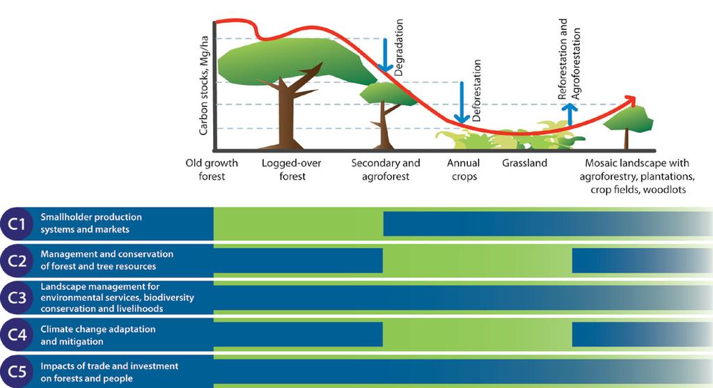 4 CGIAR Research Program The framework Forests occur under varying geographic, edaphic and climate regimes ranging from the boreal regions to the tropics; estimates suggest almost 560 (68%) of the