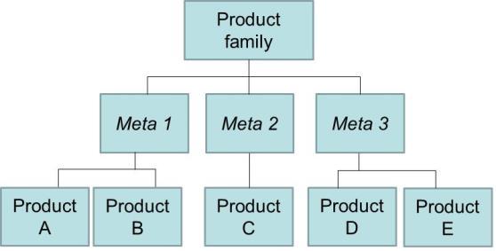 Family: 3 levels 1. General family 2. Meta families (meta SPC) Grouping the products within the family 3.