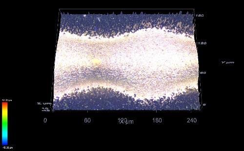 parameters: Paste thickness: 80 µm; Gap: 50 µm; Pulse energy: 14.