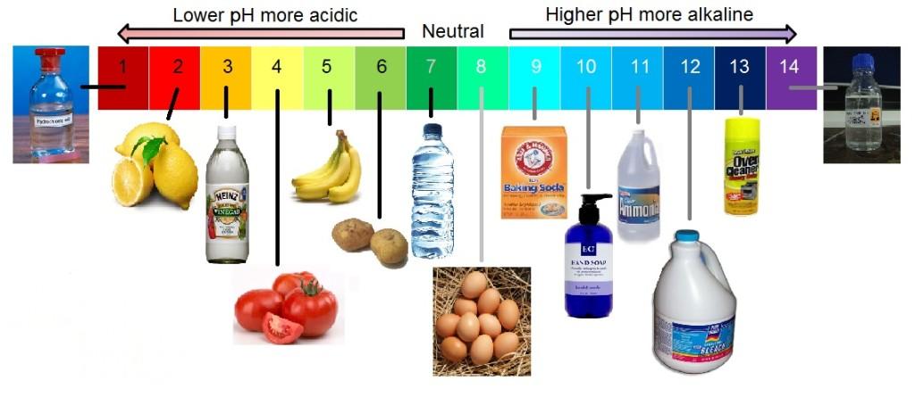 The ph Scale The