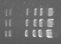 However, it can also be used to analyse images of agarose gels stained with other fluorescent stains.