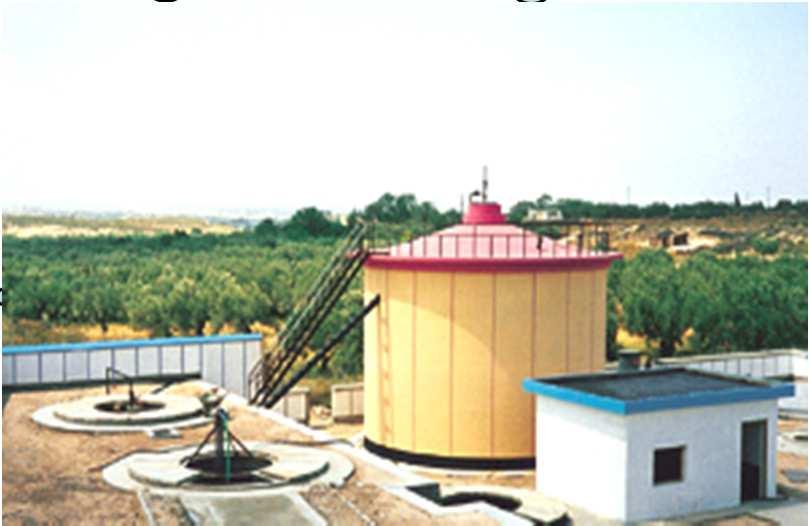 The Centralized Bioenergy Project Operator s Material Capital cost Bioenergy plant