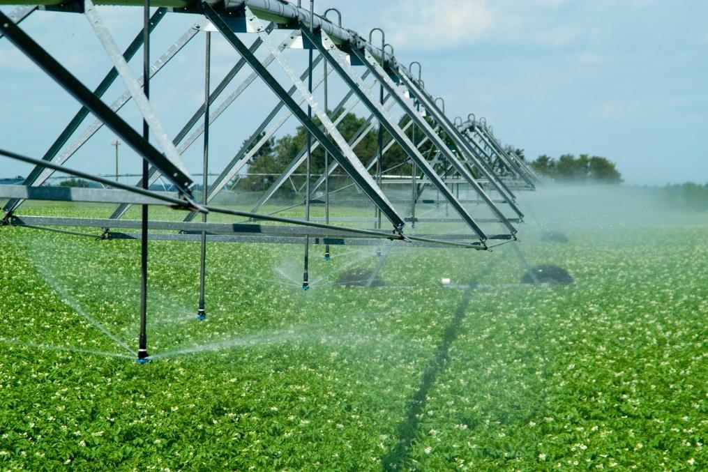 Water and Wisconsin Agriculture: Reducing