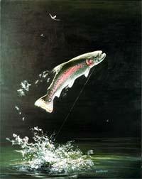 Rainbow Trout Introduced from the Western U.S.
