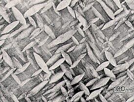 Chemical composition 2. Microstructure - In dense ceramics materials, no large pores, the flaw is related to grain size.