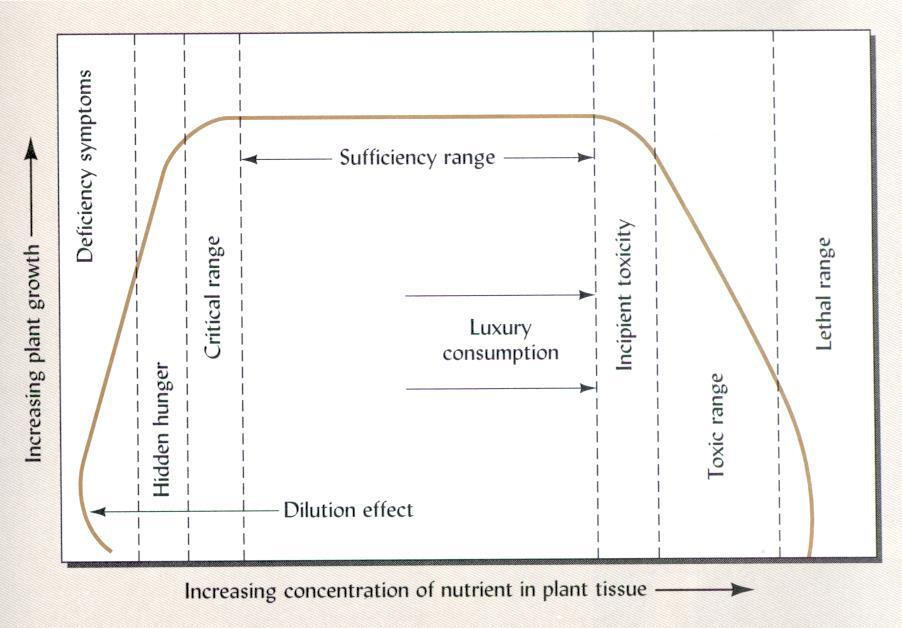 sme ther factr is limiting the plant s ability t take up nutrients.