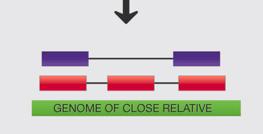 (sort out alternative splicing) Less bias can discover novel gene sequences