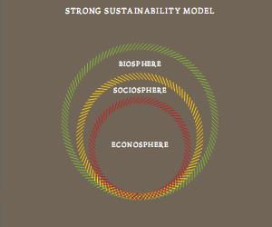 (true) sustainable development Bosselmann et al.