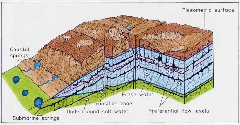 Murgia and Salento karst coastal aquifers belong to a platform karst characterized 2014 by thick and large sedimentary complex, formed by horizontal and gently sloping strata and platform relief The