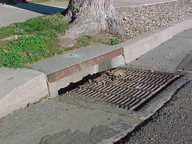 Sewage Management and Treatment Storm drains = Collect and drain runoff from precipitation Sanitary sewers = Receive wastewater from sinks,