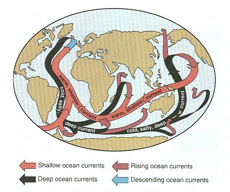 The Ocean affects climate as well Conveyor system = Giant pattern of oceanic currents that