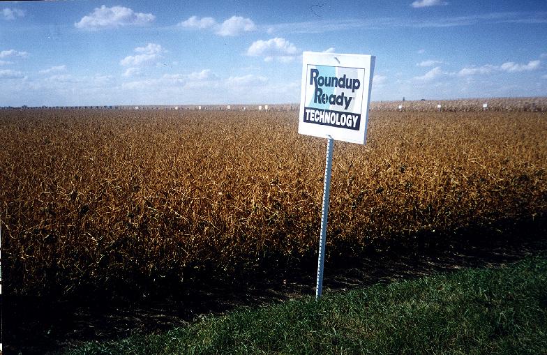 GE Crop Types Grown in the US Bt crops (corn,