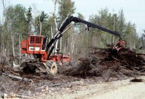 Supply chain costs Residues from roadside