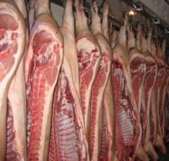 CP Foods Russia: pork goods СP Foods Russia operates wholesales pork realization (semicarcass frozen and chilled, lump