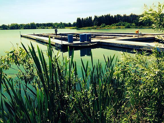 McMillan Pond restoration Fish farming project McMillan Pond, Canada Example of how to improve the environment after