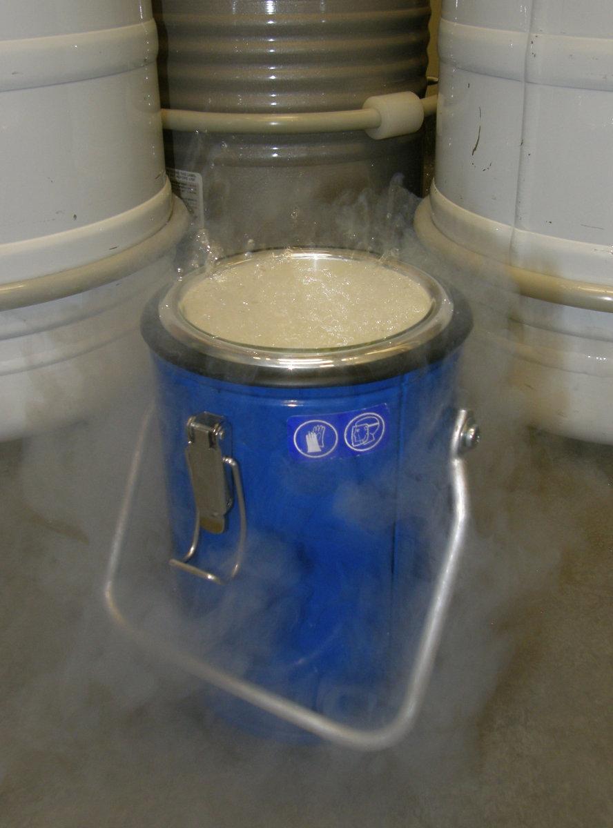 Use of Liquid Nitrogen in EM Direct freezing of cryoprotected specimens Primary coolant for immersion freezing Coolant for instrumentation