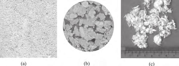 Autoclaved Aerated Concrete 145 Figure 1: (a) Typical
