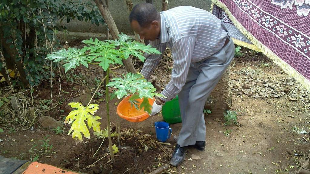 Summary of the Progress Review of the Improvement of self-sufficiency and sustainability in sanitation waste and energy project in Bahir Dar (SAWE) The teacher and leader of the school