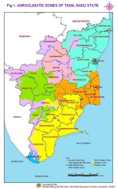 State Agriculture Plan Tamil Nadu 13 The distribution of