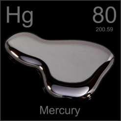 Mercury May inhibit cellular growth Accumulates in aquatic