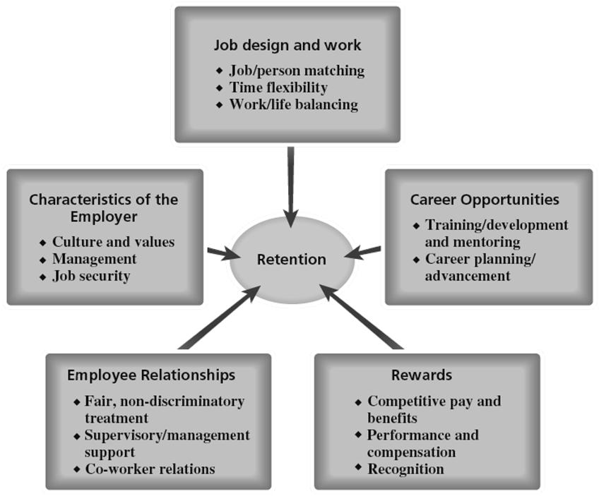 Retention of Human Resources Why People Stay or Leave Links, Fit, and Sacrifice Culture and Values Positive, distinctive company that is well-managed, and offers exciting challenges.