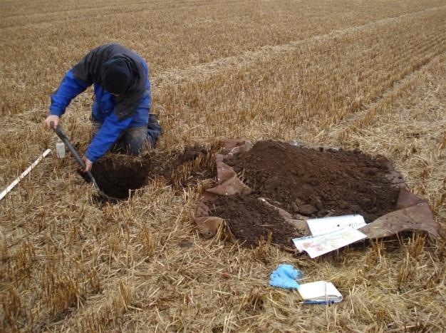 Few farmers and growers do in-depth soil investigations.