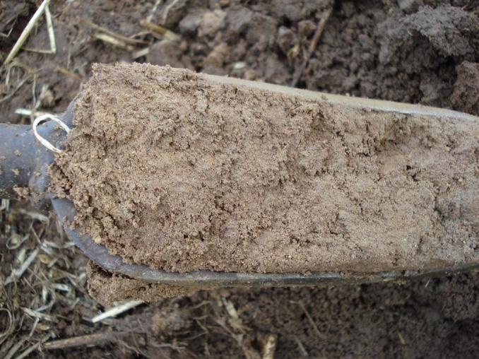 organic matter testing? earthworm counts X soil physical investigations (e.g.