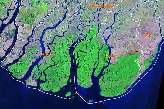 Mangrove Cover Change in the Ayeyarwady Delta of