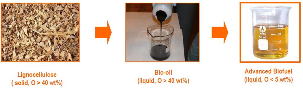 European Projects on biofuels BtL FASTCARD,