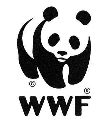 WWF (World Wide Fund for Nature formerly World Wildlife Fund) Set up in 1961 as a nongovernmental organisation Raises funds for conservation Lobbies