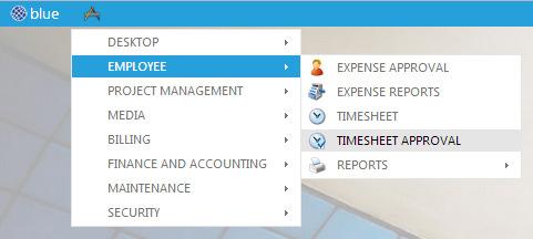 The Timesheet Approval module for Supervisors displays all details and comments for the timesheets