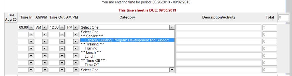 The Description/Activity field is optional for members, except if members are using the Other Service subcategory.