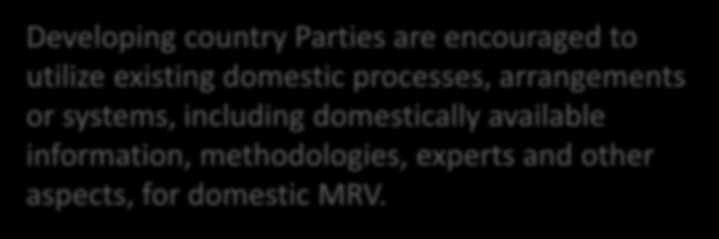 B. General Guideline of Domestic MRV for NAMAs Developing country Parties are encouraged to utilize existing domestic processes, arrangements or systems, including